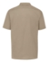 Desert Sand