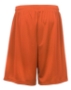 Burnt Orange