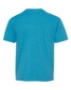 Turquoise Heather