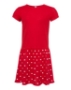 Red/ Red Dot