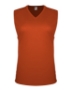 Burnt Orange