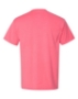 Coral Craze