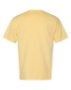 Summer Squash Yellow