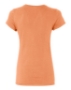Orange Sherbet