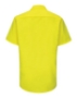 Fluorescent Yellow