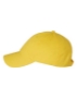 Adult Bio-Washed Classic Dad’s Cap - VC300A