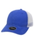Royal/ White