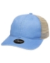 Sky Blue/ Tea