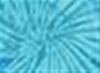 Spider Turquoise