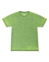 Summer Green