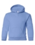 Carolina Blue