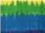 Pride