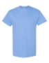 Carolina Blue