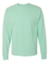 Clean Mint