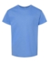 Carolina Blue
