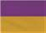 Purple/ Gold