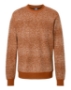 Rust Speck