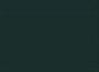 Spruce Green - Unhemmed