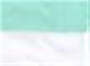 Mint/ White