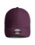 Aubergine